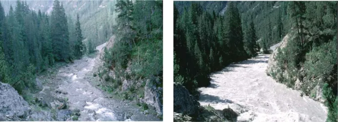 Figure 1. Photograph of the River Spöl at one of the study reaches (Punt Periv) under residual conditions (1.6 m 3 /s) and during the ex- ex-perimental flood (42 m 3 /s) on 5 July 2000.