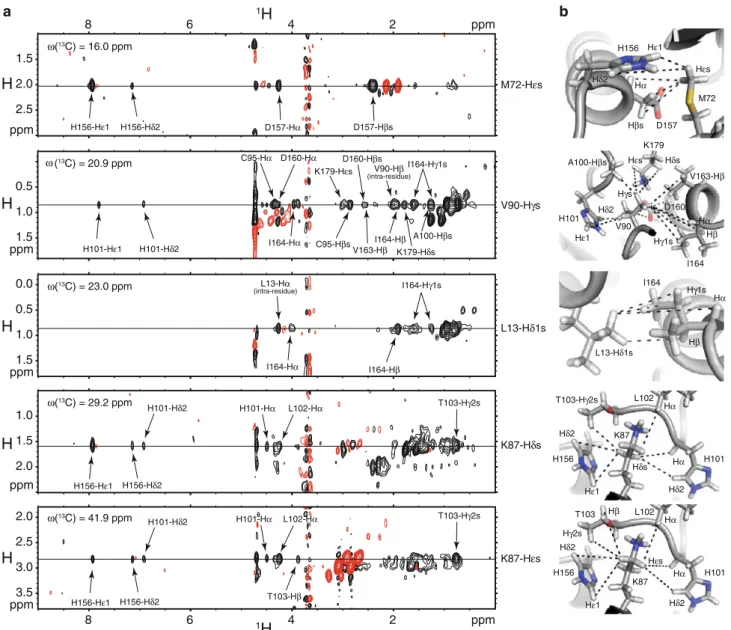 Fig. 3 Interdomain contacts as determined with segmentally labeled hnRNP A1 RRM12. a Series of cross-sections from the 3D 13 C-edited half-filtered NOESY measured on the segmentally labeled hnRNP A1 RRM12 with RRM1 13 C/ 15 N labeled and RRM2 unlabeled