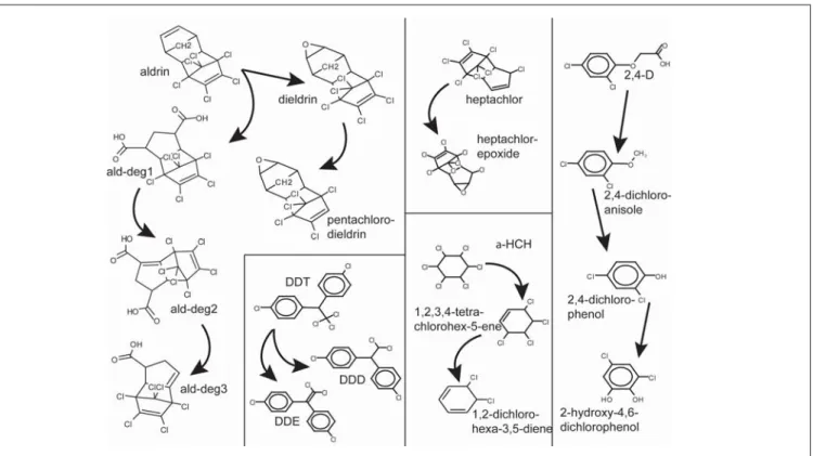 Fig. 1: Degradation Pathways for the five substances in this study