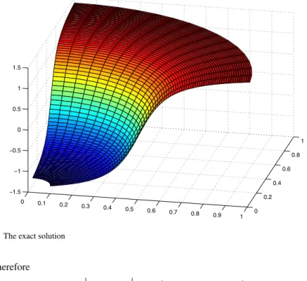 Fig. 1 The exact solution
