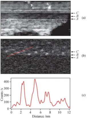 Fig. 4 Room temperature scanning tunneling microscopy and photon emission scanning tunneling microscopy from h-BN nanomesh with a gold coated tungsten tip