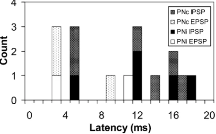 Fig. 2 Latency distribution of synaptic responses produced in CN cells by stimulation of the ipsilateral (PNi) and contralateral (PNc) pontine nuclei