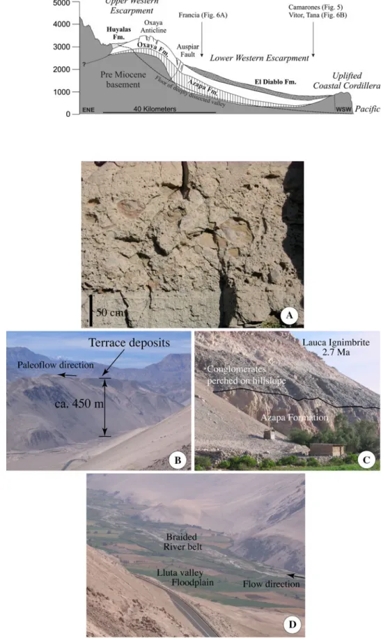 Fig. 4 a Sedimentary fabric of the Azapa Formation in Lluta valley (18°21 0 S, 69°52 0 W, 1,372 m a.s.l)