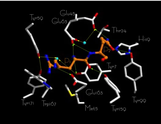 Fig. 8. MD model of complex 3b, focused on MHC pockets A–B (see the legend to Fig. 6)