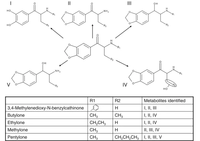 Fig. 4 Structures of the proposed metabolites for 3,4-methylenedioxy-N-benzylcathinone, butylone, ethylone, methylone, and pentylone