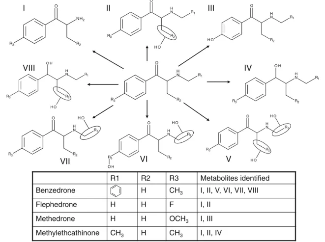 Fig. 3 Structures of the proposed metabolites for benzedrone, flephedrone, methedrone, and methylethcathionone