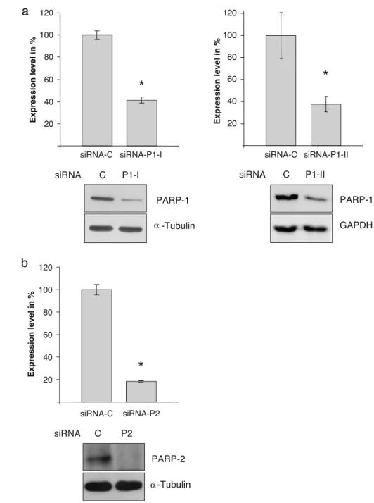 Fig. 4a). Thereby, the initial decrease in the expression of these genes induced by MNNG treatment of  siRNA-C-transfected cells was abrogated