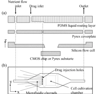 Fig. 2 Schematic representation of the flowcell used for flow simula- simula-tion. The bottom part of the cavity is closed with a Pyrex wafer (by