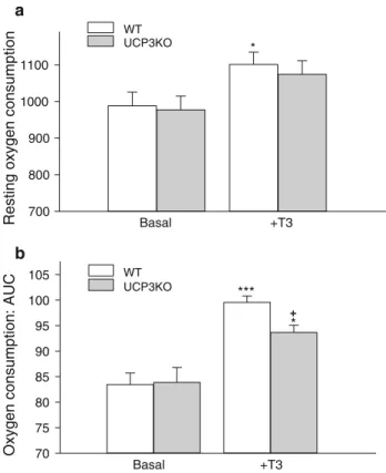Fig. 6 a Basal metabolic rate of 2-month-old female WT and UCP3KO mice before and after implantation of the minipump delivering T3 (basal and ? T3, respectively)