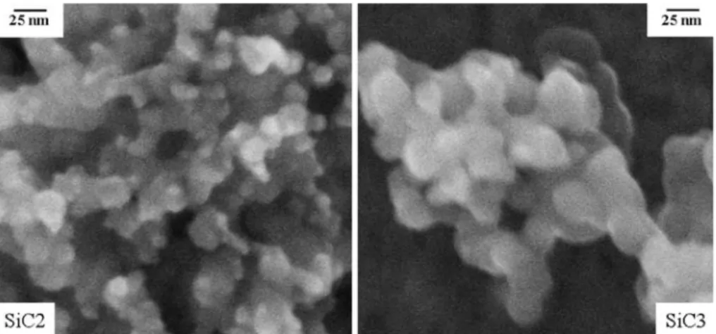 Fig. 8 SEM pictures recorded for the SiC2 and SiC3 samples