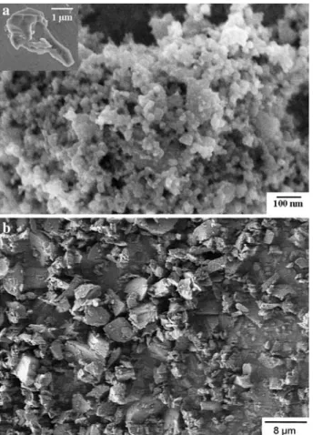 Fig. 4 (a) SEM picture recorded for the SiC1 sample, with a picture of a precursor residual grain in the insert