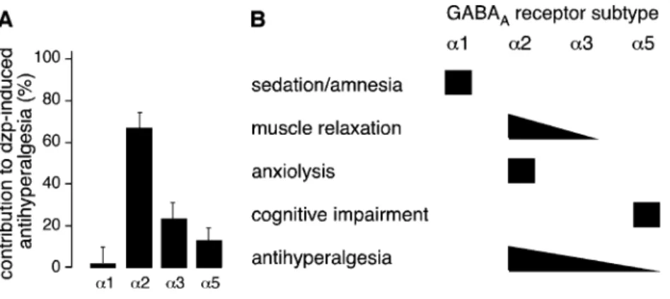 Fig. 1 Contribution of different GABA A receptor subtypes to benzodiazepine-mediated spinal antihyperalgesia (A) and in comparison to other desired or undesired effects of classical benzodiazepines (B)
