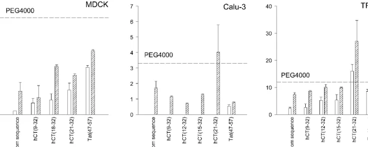 Fig. 3. RP-HPLC chromatograms illustrating the metabolic degradation of 40 ␮ M CF-labeled hCT(9-32) upon apical application to MDCK or Calu-3 layers.