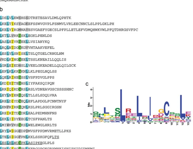 Fig. 4 The structure and motifs of FB_MR5. FB_MR5 was identified as CNL which was subdivided in a coiled-coil (CC) region and NB-ARC domain as well as b LRR-like motifs