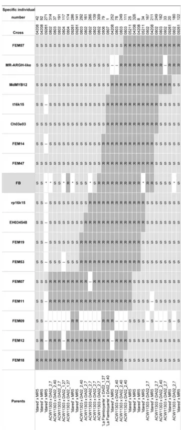 Fig. 3 Genotypic and transformed phenotypic data of 33 progenies of Malus×robusta 5. The progenies were recombinant between FEM57 and FEM18