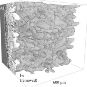 Figure 2 presents a 3D view of the interface between the intermetallic compounds and iron after 1 hour of contact at 973 K (700 °C)