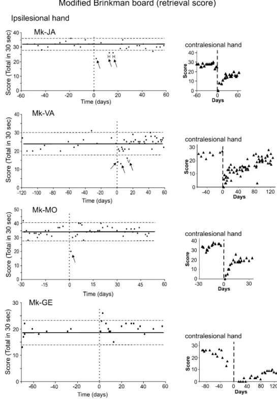 Fig. 2 Behavioral data (manual dexterity) obtained from four representative monkeys  (JA, VA, MO and  Mk-GE) for the Modified Brinkman Board task
