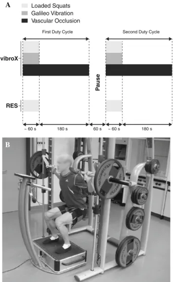 Fig. 1 Schematic representation of the exercise setup (a) and an illustration of the exercise regimen of vibroX comprising parallel back squats performed on a side-alternating vibration plate with superimposed vascular occlusion (b)