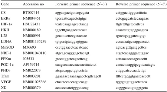 Table 1 PCR primer sequences for the measured gene transcripts