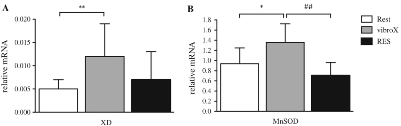 Fig. 5 Alterations in XD (a) and MnSOD (b) mRNA abundances 3 h after a single bout of vibroX or RES relative to resting levels