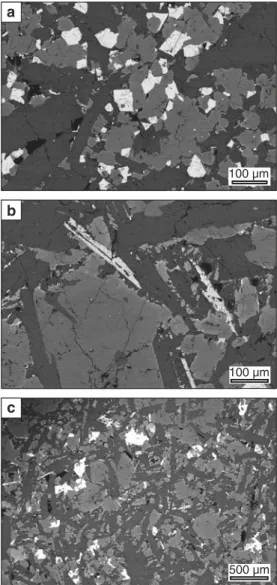 Fig. 4 SEM backscatter electron (bse) images showing the shape and size of crystals at a the edge and b in the center of the basalt plate