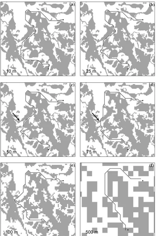 Figure 2. Eﬀect of the resolution of friction maps on the length of the least-cost path between two individuals of American marten (dots connected by black line) in the logged landscape