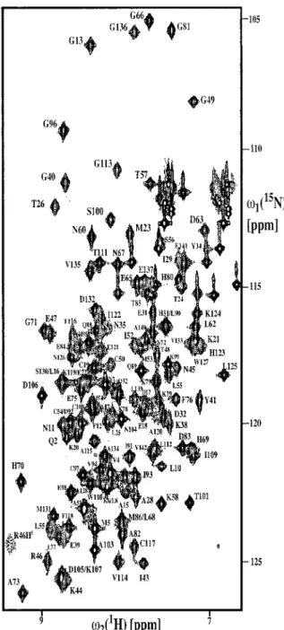 Figure 1. [ 1 H, 15 N]-COSY spectrum of uniformly 15 N-enriched BmPBP in 95% H 2 O/5% D 2 O (protein concentration = 1 mM, T = 293 K, pH = 4.5)