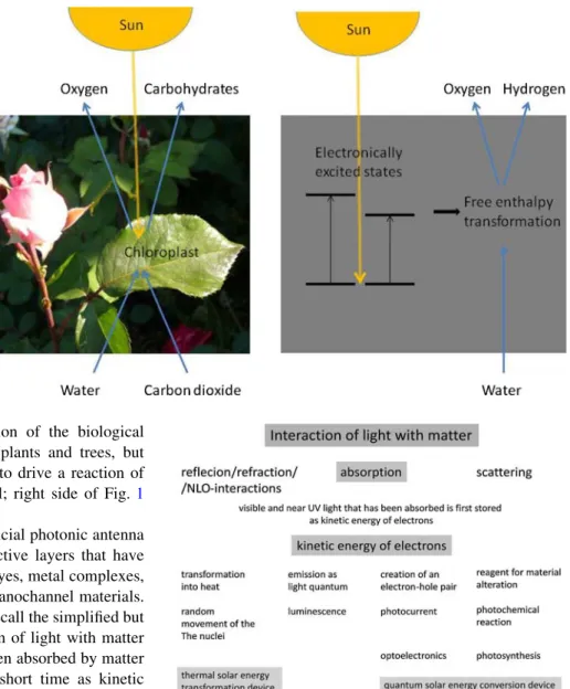 Fig. 1 Quantum solar energy conversion. Left illustration of the principle and the beauty of natural photosynthesis
