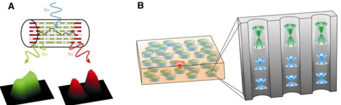 Fig. 8 Communication of guests with an external reaction center via FRET. Non fluorescent stopcock molecules can be used if they act as insulating or protecting chemical linkers between the dyes inside the channels and the chromophores located at the react