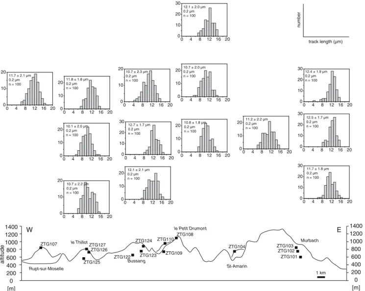 Fig. 9 Apatite FT length distributions of the Vosges samples. An E–W topographic proﬁle (vertical scale exaggerated by a factor of 5) with sample locations is shown at the bottom of the ﬁgure