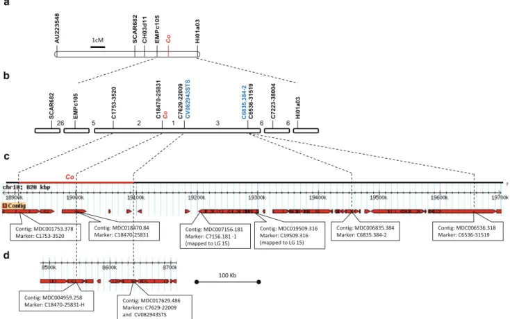Fig. 1 Fine-scale genetic map of the Co locus on apple LG-10.