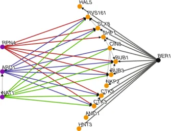 Fig. 2 Analysis of synthetic lethal screen results performed with ber1  as bait. Dark grey lines represent ber1  synthetic lethal/sick interactions