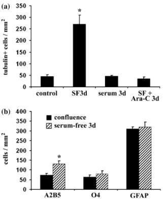 Fig. 2 Removal of serum promotes neurogenesis in confluent cortical cultures. (a) Cultures were maintained in serum-complemented medium until they became confluent (7 days), further cultured in the absence of serum for 3 days, fixed and immunostained for t
