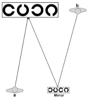 Fig. 1 VA at 5 m (a). Distance doubling visual acuity at 10 m through mirror (b)