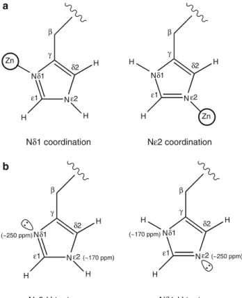 Fig. 1 Chemical structure and atom nomenclature of an histidine side chain. a Chemical structure and atom nomenclature for the two coordination modes of zinc-ligated histidines, namely the N d1 and the N e2 coordination modes