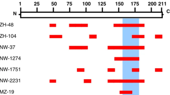 Fig. 5 Computer-aided prediction of B cell epitopes from RAB38. a The hydrophilicity score of the RAB38 protein was  cal-culated with Kyte–Doolittle method [14]