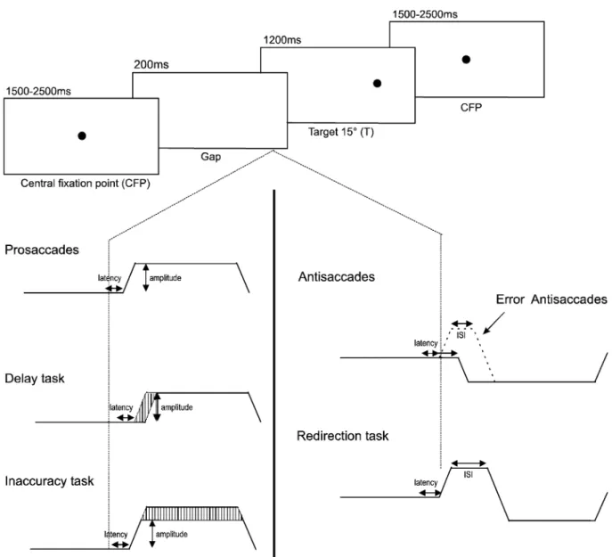 Fig. 1 This figure summarizes the stimulus sequence and the different tasks used in the present study