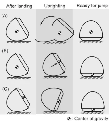Fig. 4 Three working principles for uprighting. (A) Arms or levers are moved actively after landing, (B) the center of gravity is actively shifted after landing to upright, (C) the position of the center of gravity leads to a passive uprighting movement