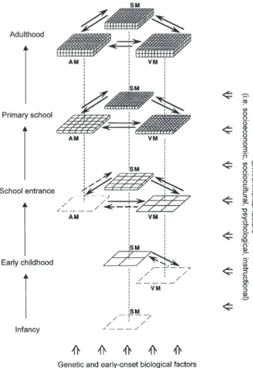 Fig. 8 Developmental dynamics of modularization of number process- process-ing and calculation abilities.