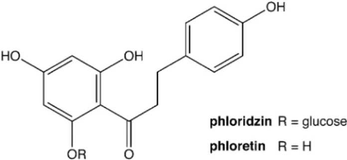 Fig. 1 The two major flavonoid compounds in apple leaves: phlo- phlo-ridzin and its aglycone phloretin