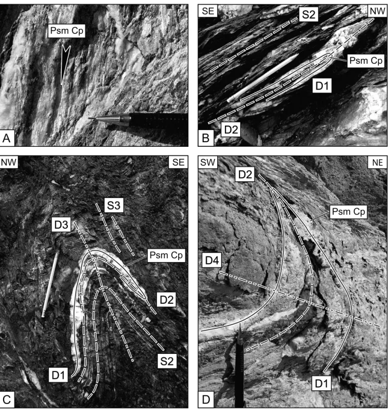 Fig. 5.  Photographs of quartz-calcite veins representing pseudomorphs after Fe-Mg carpholite (Psm cp)