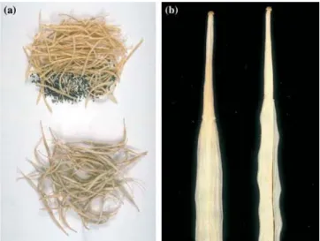 Figure 5. Eﬀect of 35S:MADSB transgene expression on fruit dehiscence in Erox winter rape plants