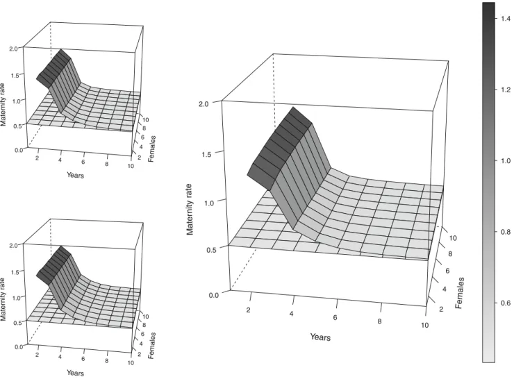 Fig. 2 Maternity rate Mx averaged estimates with simulated data for a hunted population as a function of numbers of monitored years and females