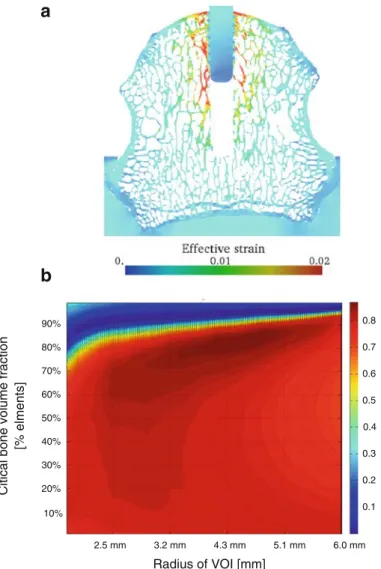 Fig. 5 a Strain distribution (effective strain) of one typical specimen. Highest strains can be found at the bone microarchitecture close to the implant