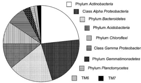 Figure 2 Distribution of phyla among the bacterial libraries
