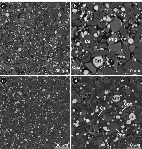 Fig. 1 BSE images of two experiments performed from the pelitic sample CO at 900°C—