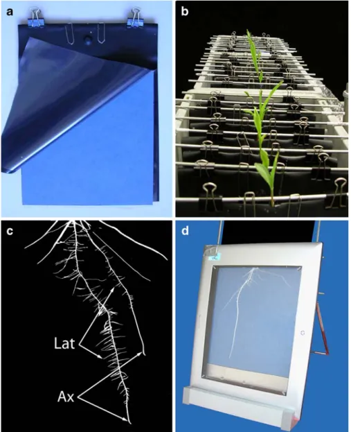 Fig. 1 Growth pouches consisted of blue