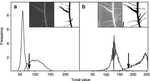 Fig. 3 Frequency distribution of tonal values of the back- back-ground (left peak) and target objects, i.e