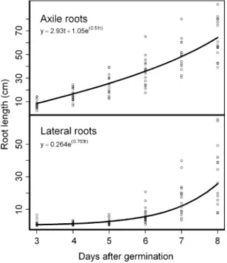 Fig. 8 Errors due to differences in growing time. Hypothetical plants with the same elongation rates of axile roots (Ax) and lateral roots (Lat)