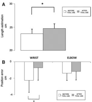 Fig. 5   Experiment 2 results, body-landmarks localisation task. Tool- Tool-use affects the perceived length of the forearm